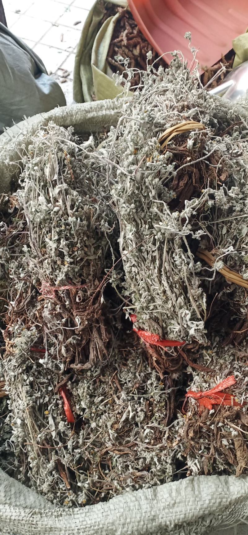 翻白草扎把中药批发一手货源量大忧惠全国发货