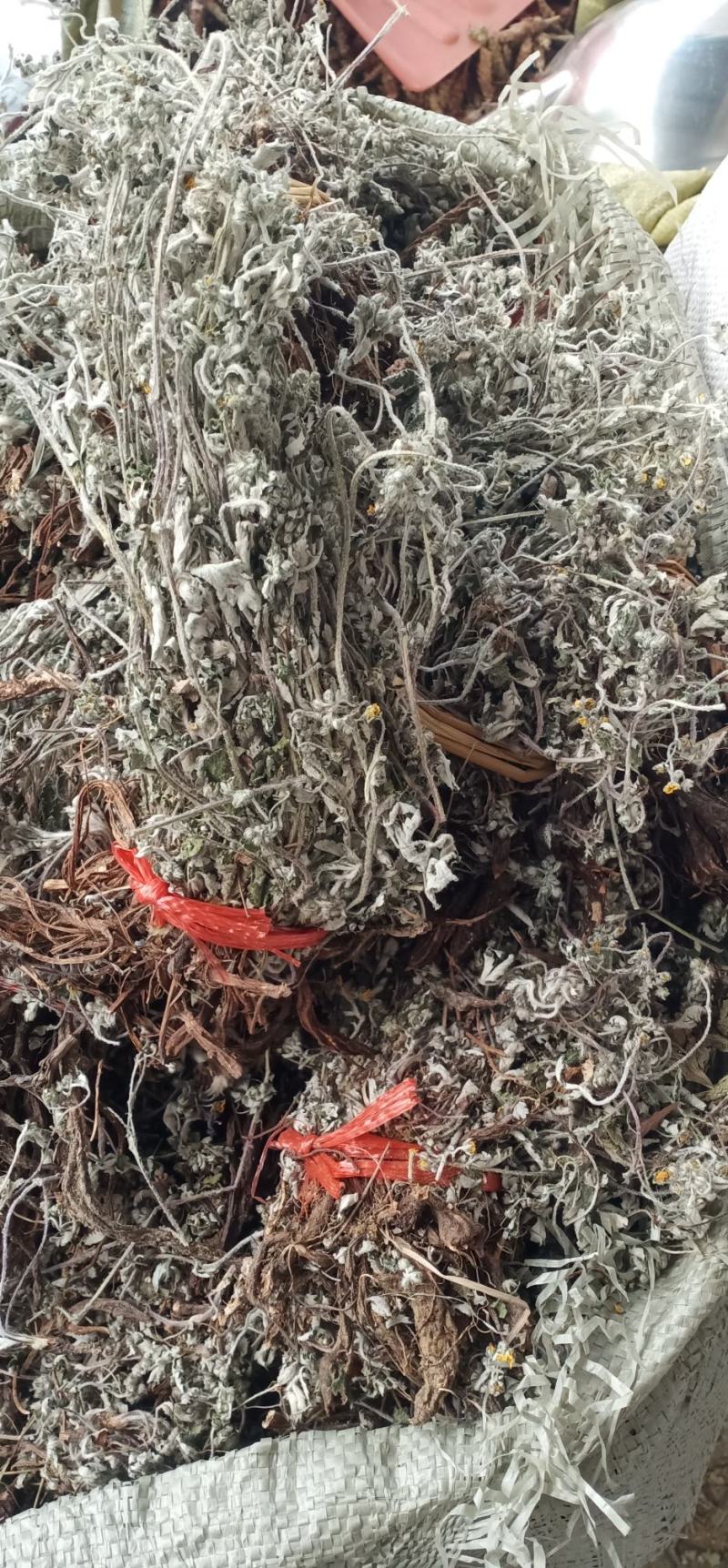 翻白草扎把中药批发一手货源量大忧惠全国发货