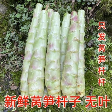 莴笋杆子，网袋装的，现砍现发，供应全国各地，大小客商都来