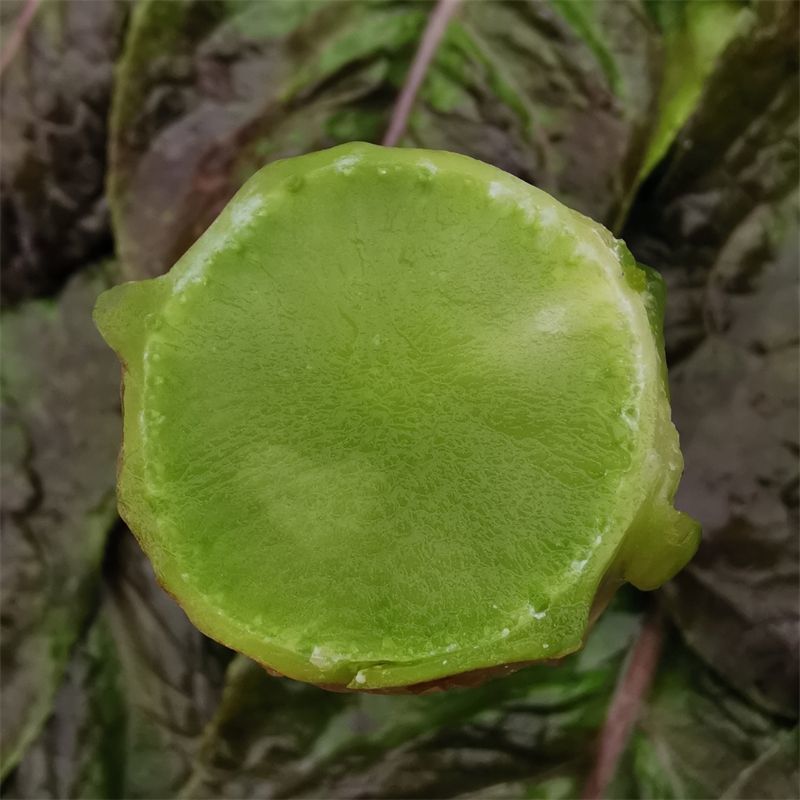 莴笋杆子，网袋装的，现砍现发，供应全国各地，大小客商都来