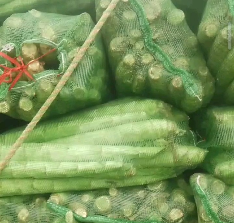 莴笋杆子，网袋装的，现砍现发，供应全国各地，大小客商都来