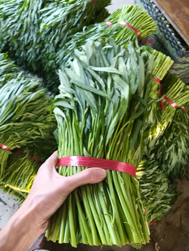 青梗空心菜