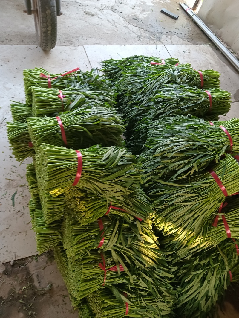 青梗空心菜
