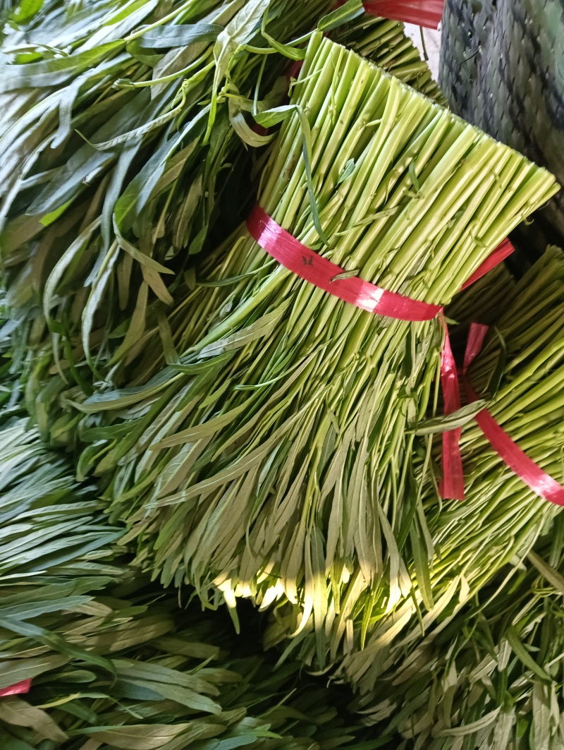 青梗空心菜