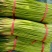 红帽蒜薹河南蒜苔大量上市精品蒜苔欢迎咨询合作