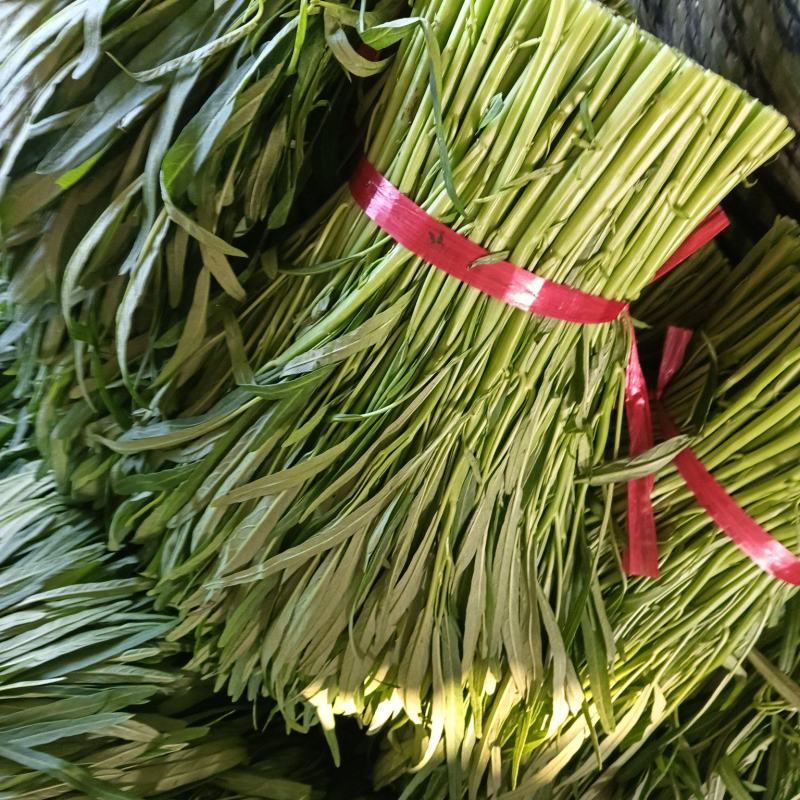 青梗空心菜
