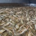 万绿湖精品香酥鱼