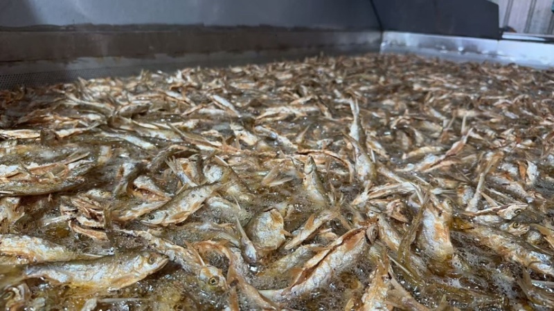 万绿湖精品香酥鱼