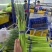 河南蒜苔精品红帽蒜薹电商货，市场货，电商一件代发