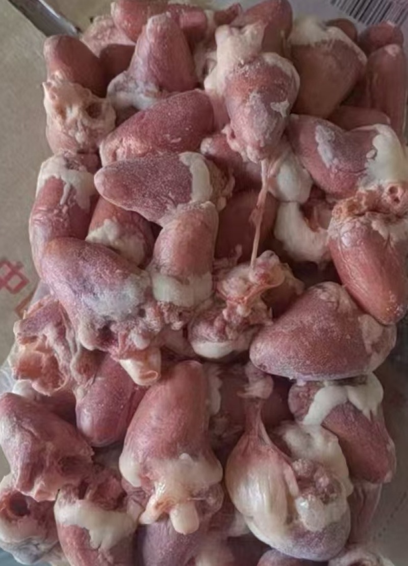 鸡心大肉食鸡心母鸡三黄品种齐全质量产量稳定手续齐全国物流发货