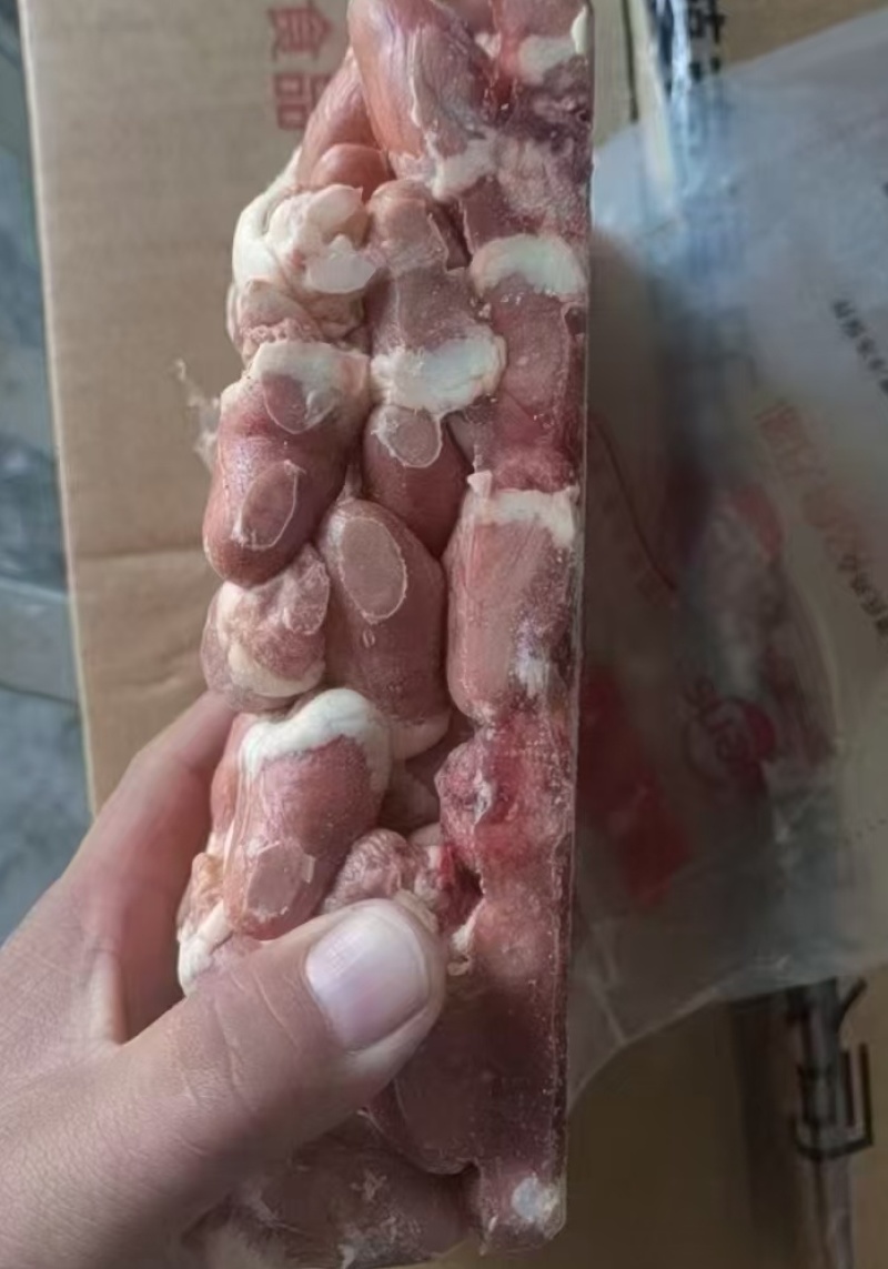 鸡心大肉食鸡心母鸡三黄品种齐全质量产量稳定手续齐全国物流发货