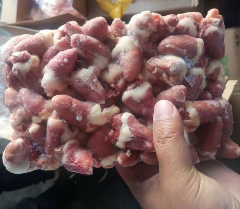 鸡心大肉食鸡心母鸡三黄品种齐全质量产量稳定手续齐全国物流发货