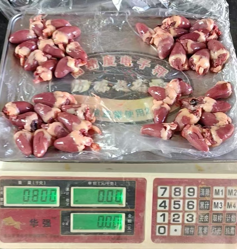鸡心大肉食鸡心母鸡三黄品种齐全质量产量稳定手续齐全国物流发货