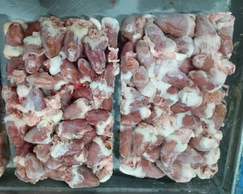 鸡心大肉食鸡心母鸡三黄品种齐全质量产量稳定手续齐全国物流发货