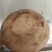 【新疆美味蘑菇批发】天然野生美味蘑菇产地直供鲜香浓郁