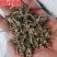 中药材韩信草大力草大韩信草耳挖草顺经草
