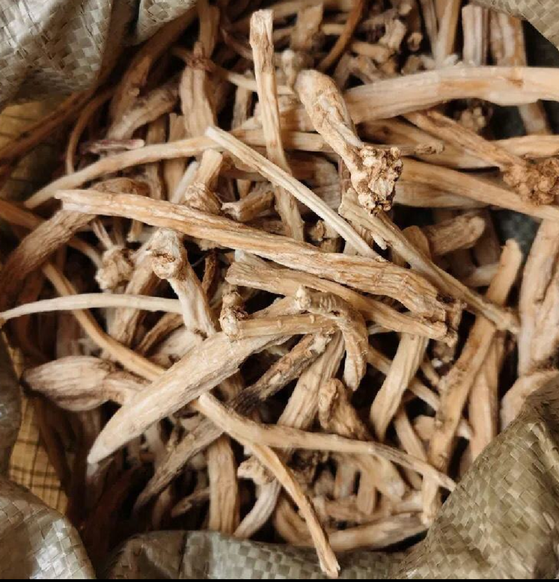 独定子野生金铁锁做中药我们只做正品，地道药材诚信商家