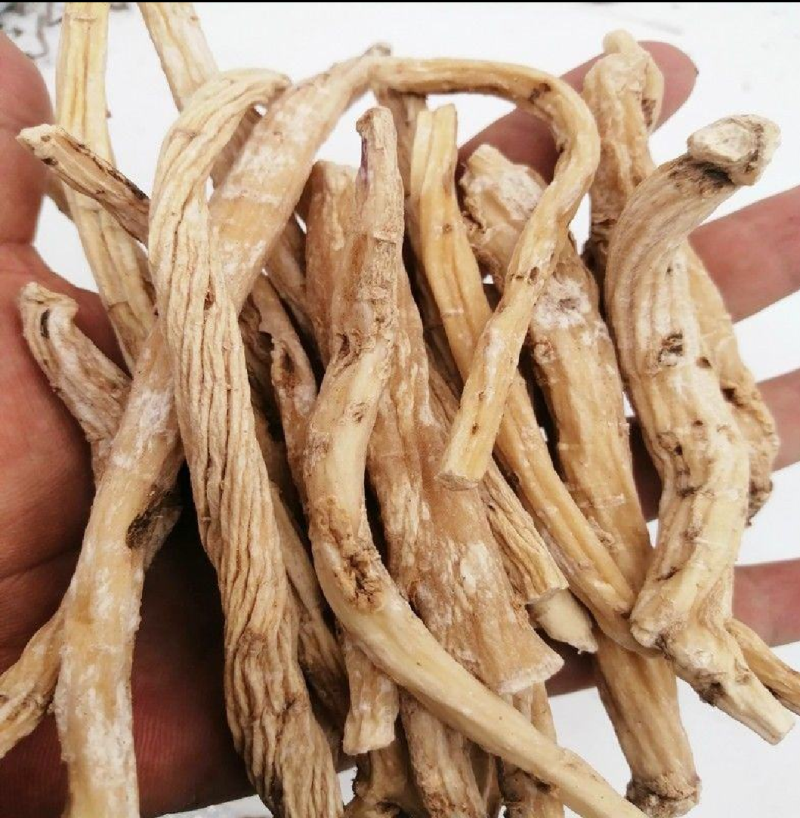 独定子野生金铁锁做中药我们只做正品，地道药材诚信商家