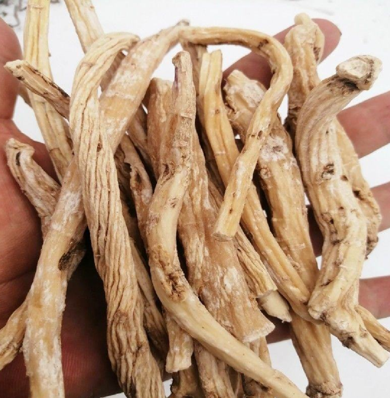 独定子野生金铁锁做中药我们只做正品，地道药材诚信商家