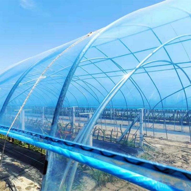 精品6+2水晶PO膜6层共挤工艺高透光高拉力不起雾不滴水