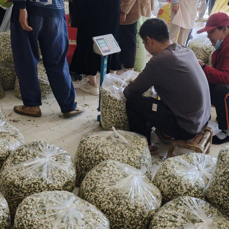 大山里的洋槐花，货源充足，供获全国各地，一条龙服务，加冰