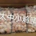 鸡腰子