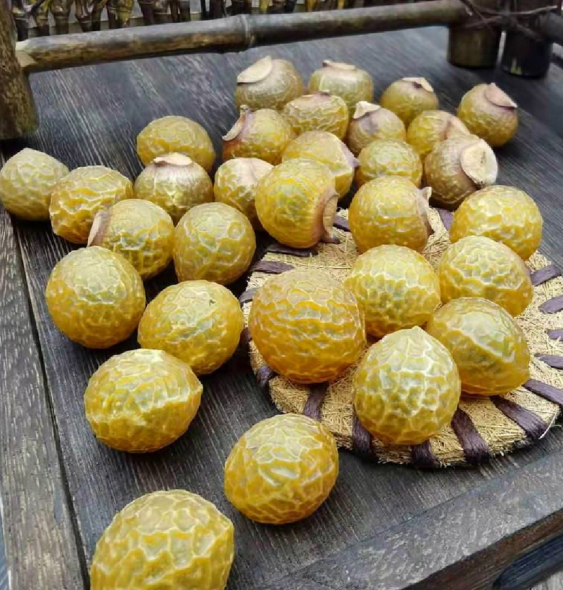 洗手果，无患子，各种种药材加工，代抓配方量大从优量大可议