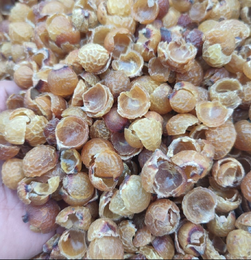 洗手果，无患子，各种种药材加工，代抓配方量大从优量大可议