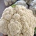 山东精品有机花菜大量上市，产地直发，品质保证，量大从优