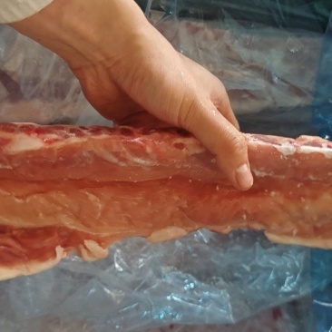 龙骨脊骨多肉优质
