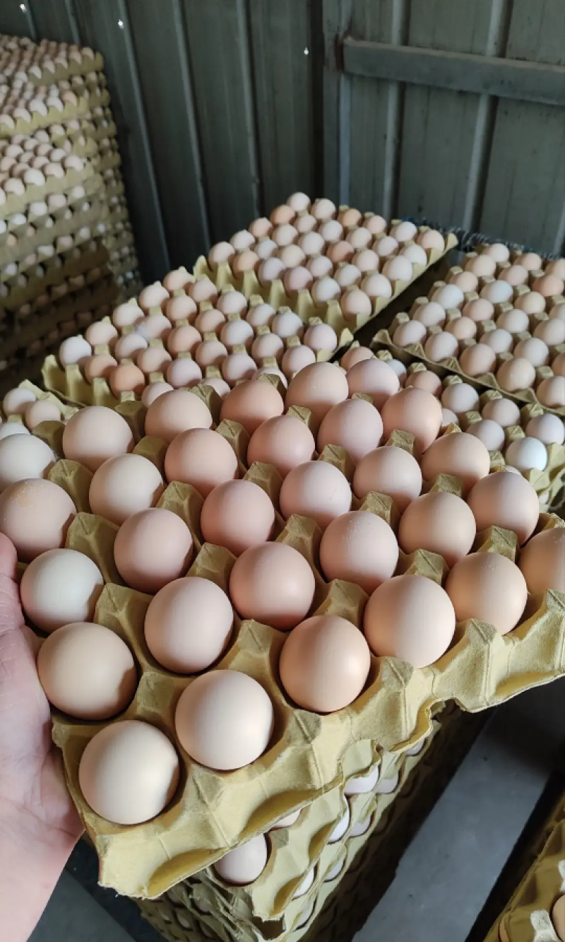 鸡蛋土鸡蛋粉壳，红壳都有130一箱360个净重45斤