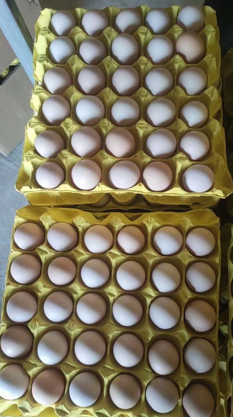 鸡蛋土鸡蛋粉壳，红壳都有130一箱360个净重45斤