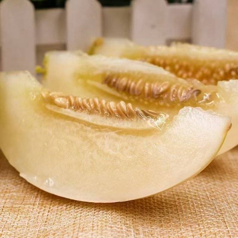 白沙蜜甜瓜，薄皮脆甜。货源充足。产地代发。