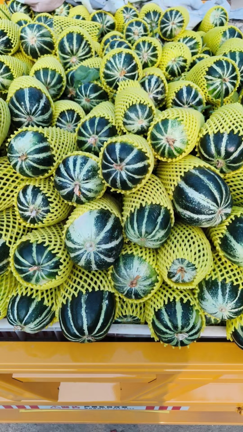 白沙蜜甜瓜，薄皮脆甜。货源充足。产地代发。