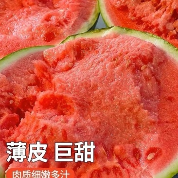宿州砀山无籽美都西瓜自家种植品质保障