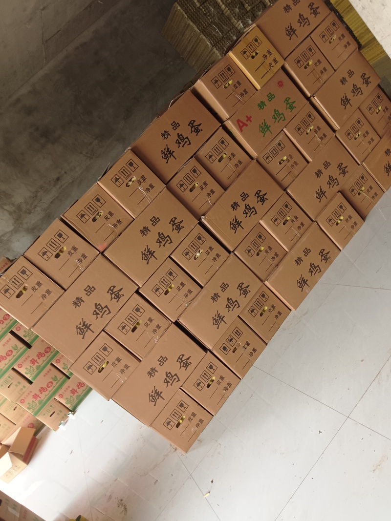 精品鸡蛋45斤—145元4普通鸡蛋40-41斤—136元