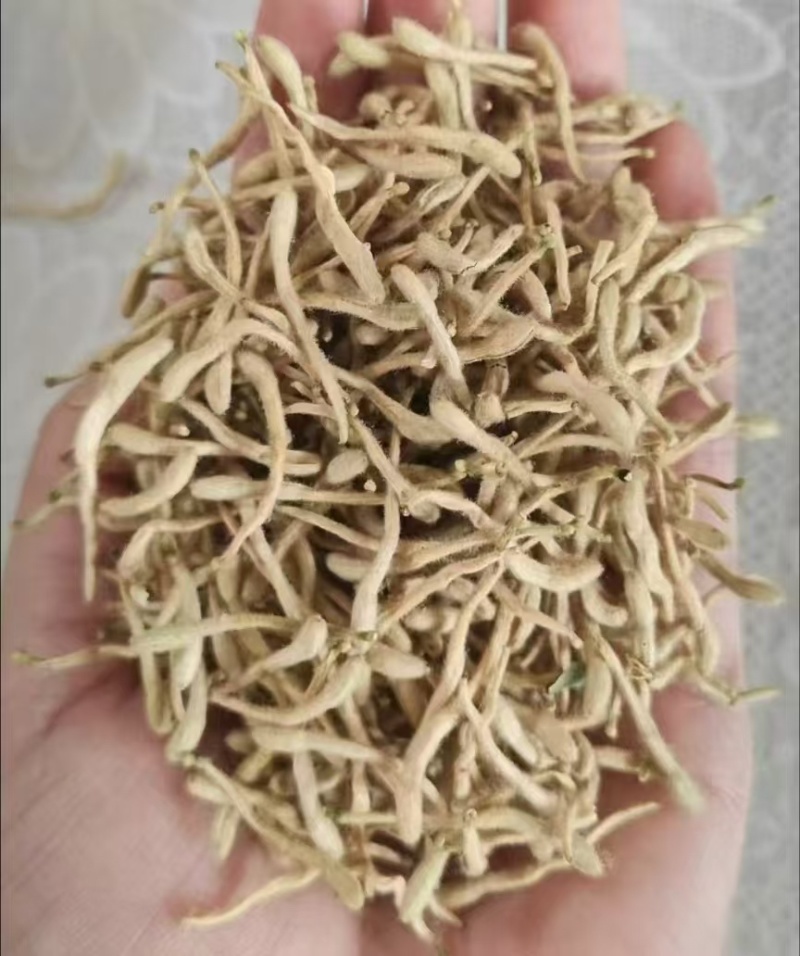 金银花