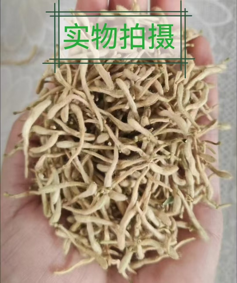 金银花