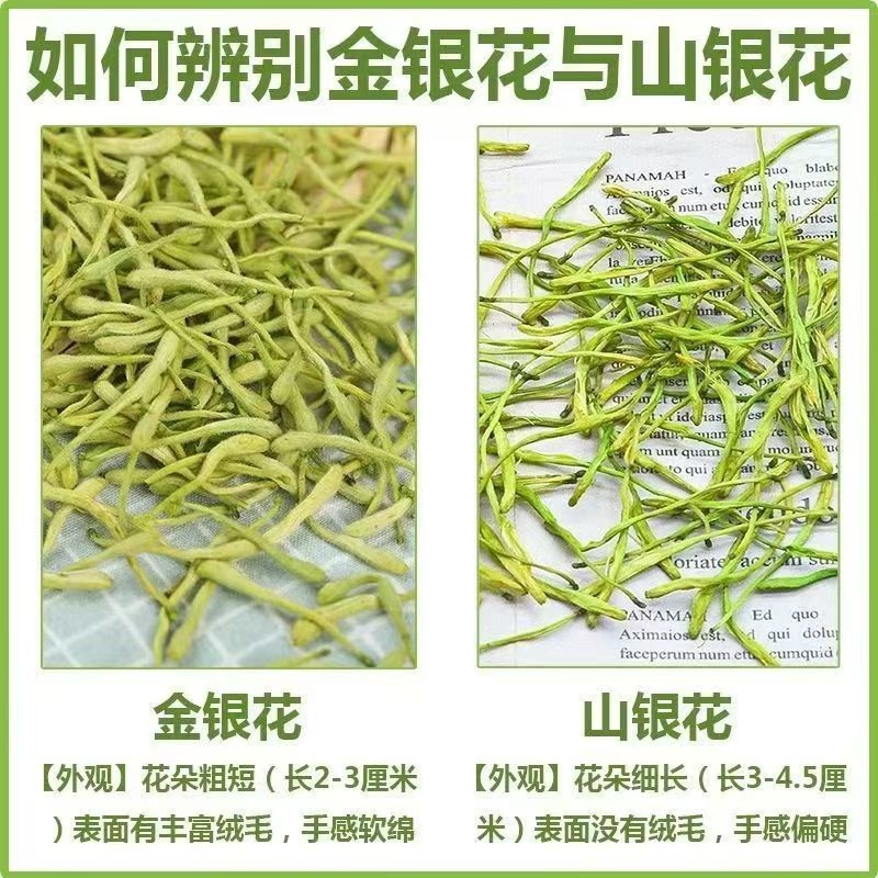 金银花