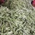 精品油豆油豆角货源充足量大从优全国发货欢迎联系
