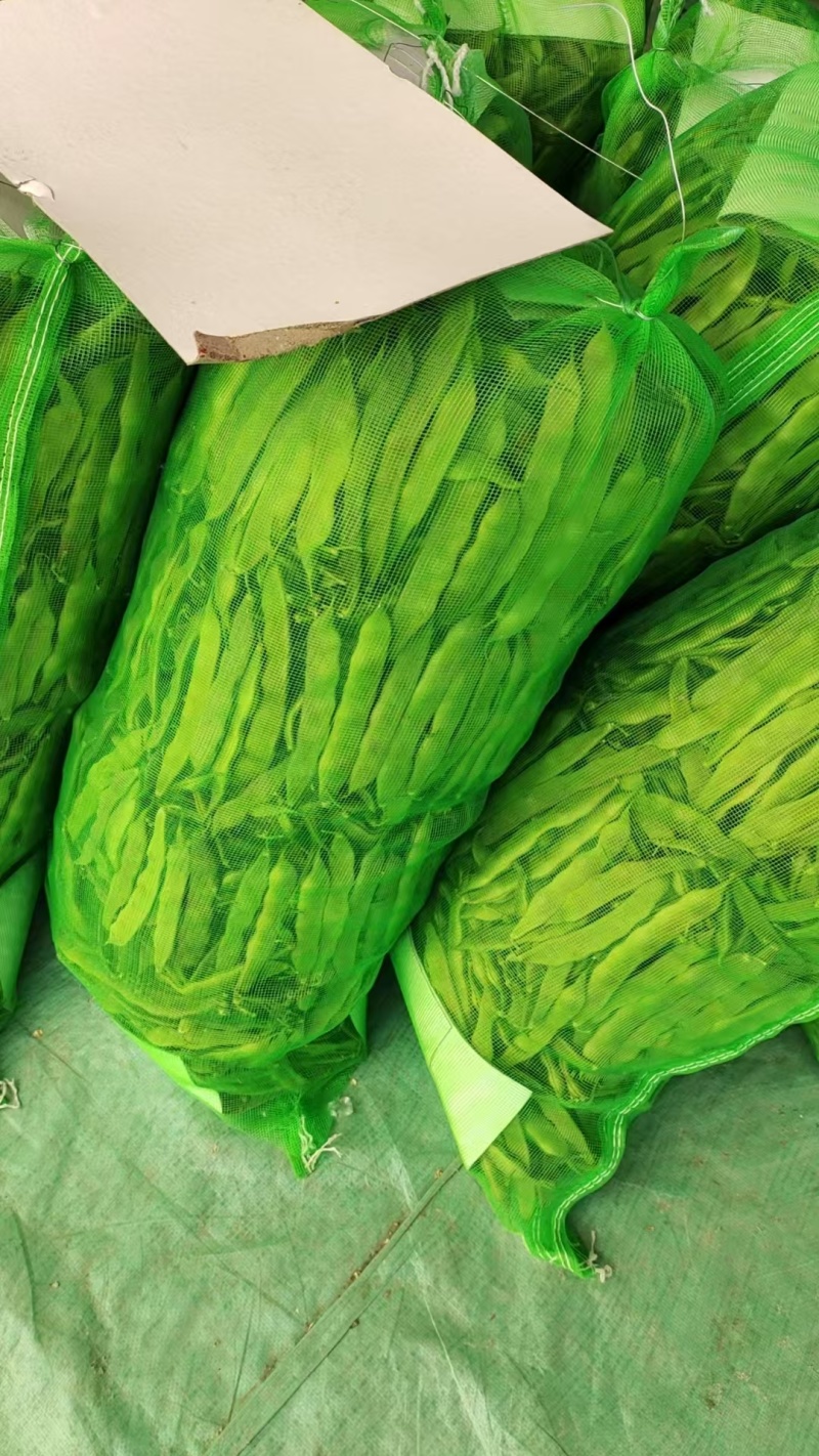 精品油豆油豆角货源充足量大从优全国发货欢迎联系