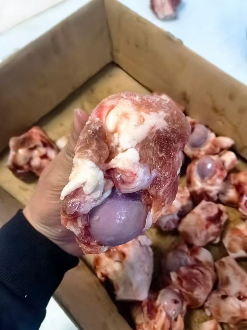 大头猪棒骨