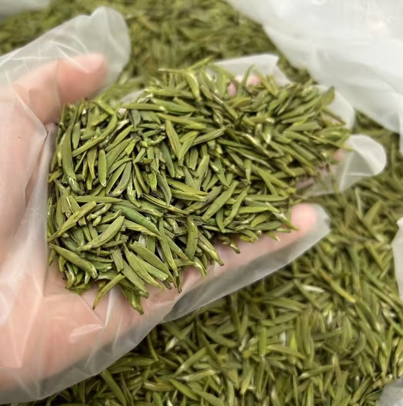 湄潭新茶大量上市