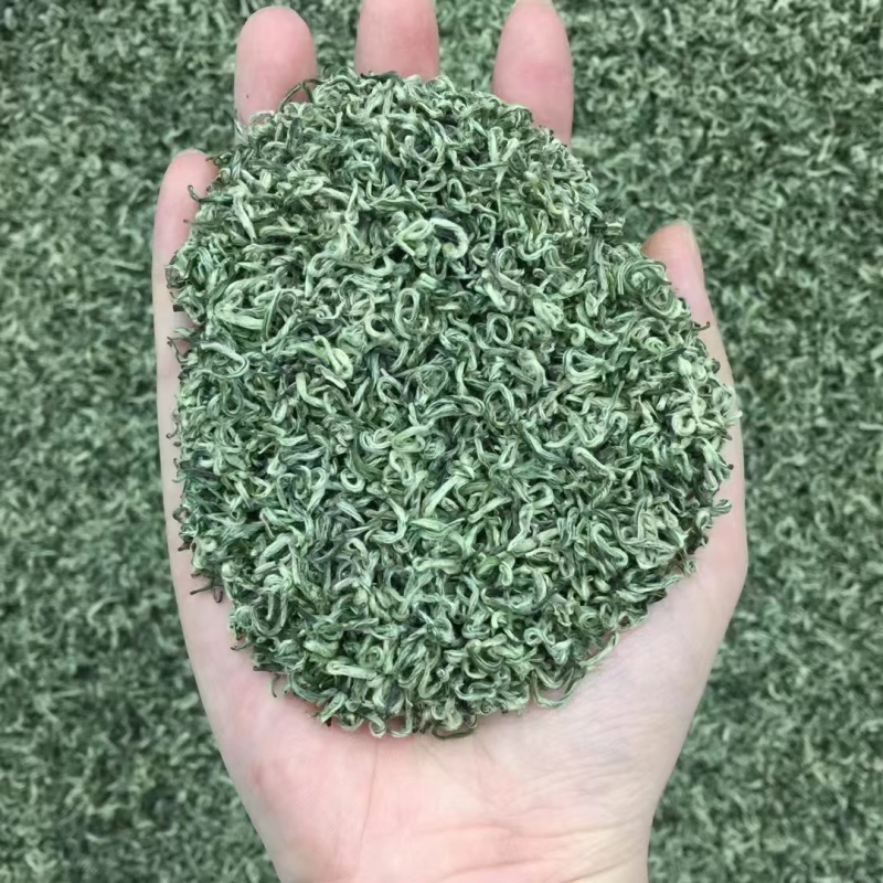 湄潭新茶大量上市