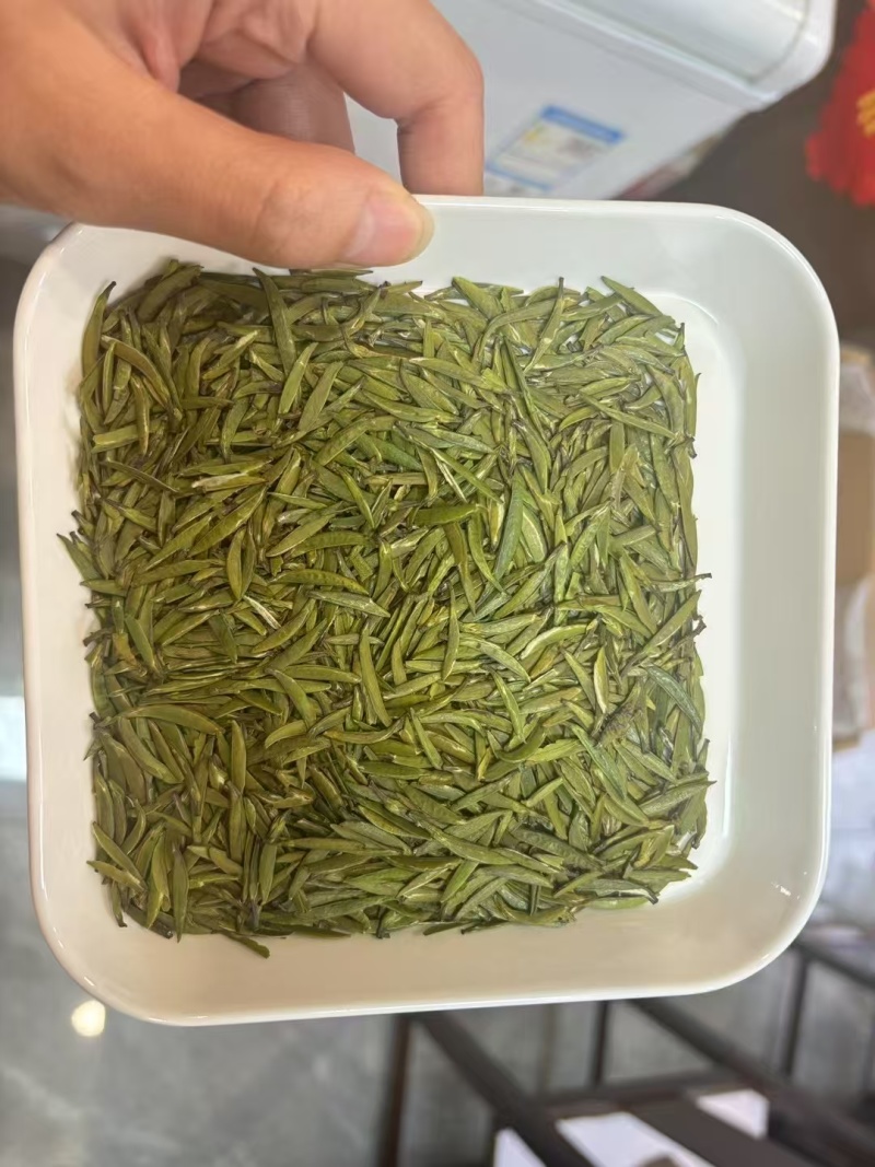 湄潭新茶大量上市