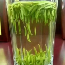 湄潭新茶大量上市
