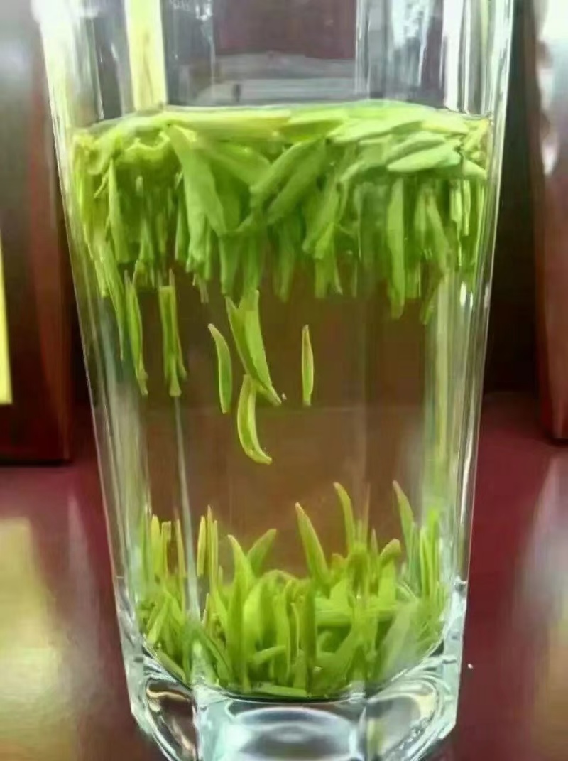 湄潭新茶大量上市