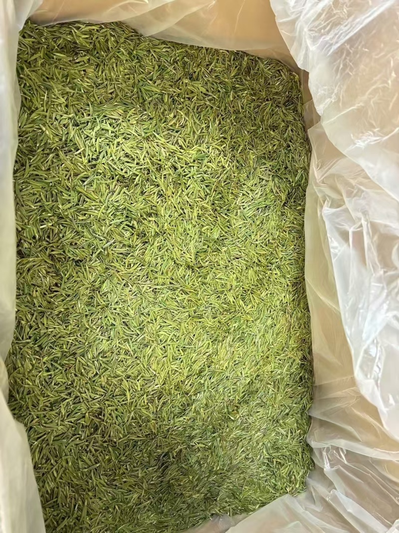 湄潭新茶大量上市