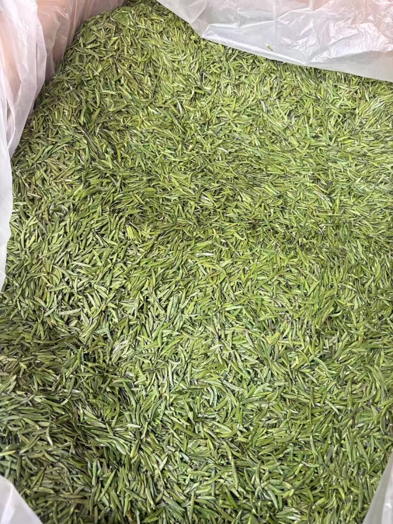 湄潭新茶大量上市