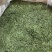 湄潭新茶大量上市